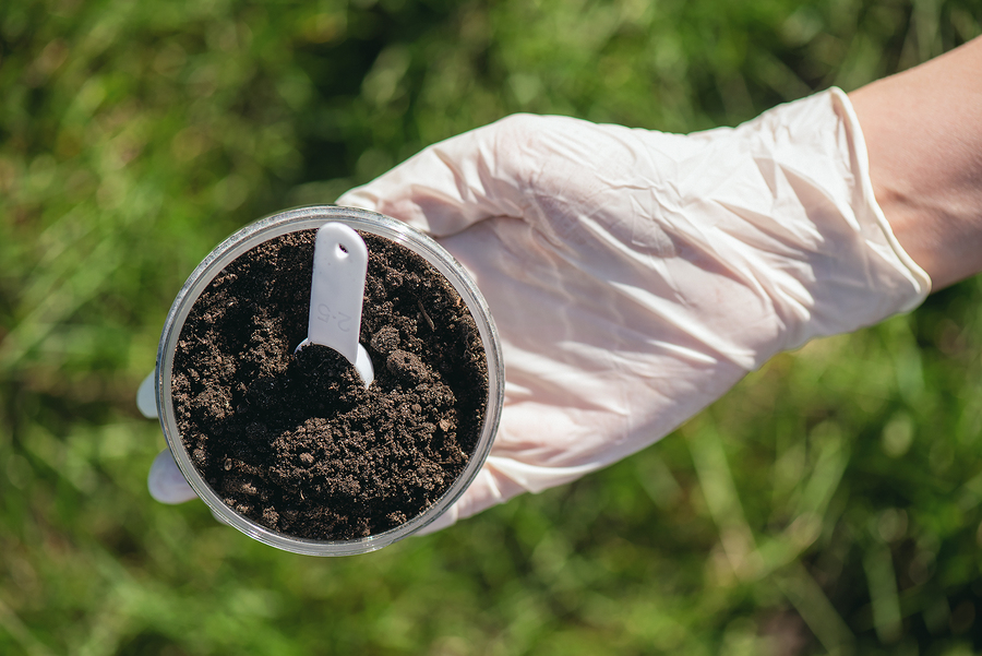 Soil Science. Holding In Hand A Soil Sample; Soil Testing, Soil Amendments